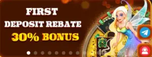 FIRST DEPOSIT REBATE 30% BONUS