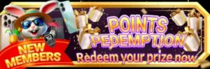 points redeem