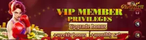 vip member privileges