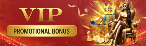 VIP Promotional Bonus
