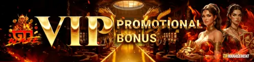 VIP promotional bonus