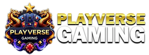 playverse gaming app review