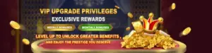 VIP Exclusive Reward