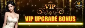 VIP Bonus