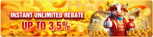 unlimited rebate