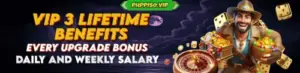 VIP  Lifetime benefits