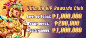 VIP rewards